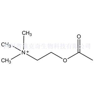 乙酰胆碱