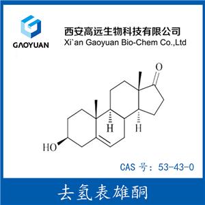 去氢表雄酮，脱氢表雄酮，DHEA