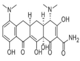 米诺环素