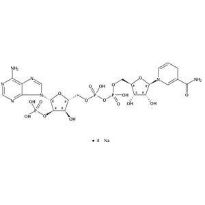 还原辅酶Ⅱ四钠盐水合物