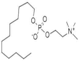 Fos-维生素B-12