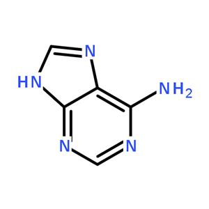腺嘌呤