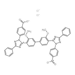 氯化硝基四氮唑蓝