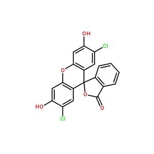 二氯荧光素