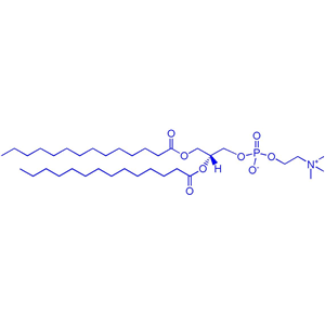 1,2-二肉豆蔻酰-sn-甘油-3-磷酸胆碱