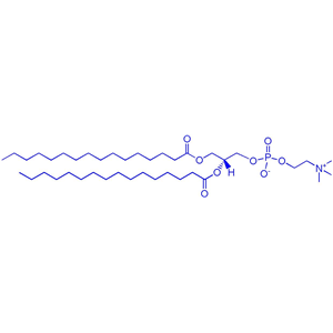 DPPC（1,2-二棕榈酰-sn-甘油-3-磷酰胆碱）