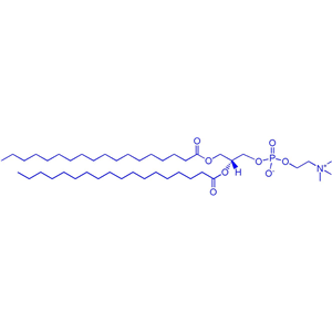 DSPC（1,2-二硬脂酰基-sn-丙三基-3-磷酸胆碱）