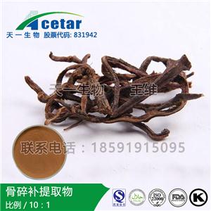 骨碎补提取物，Rhizoma Drynariae Extract