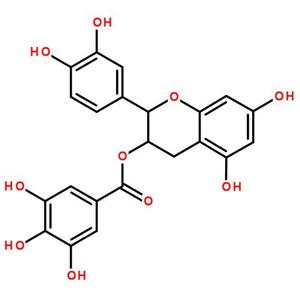 表儿茶素没食子酸酯