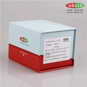 Human IL-12 p70 ELISA Kit