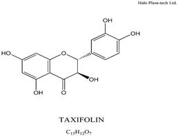 二氢槲皮素