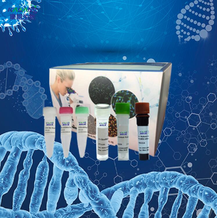 桑白皮PCR鉴定试剂盒