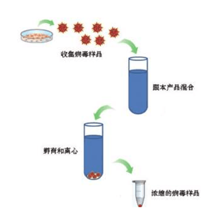 非冻型拭子病毒保存液，核酸检测专用（未分装）