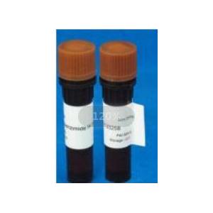 Agarose Gel Loading Buffer-Glycerol/Double Blue（甘油型双蓝色DNA上样液），6×