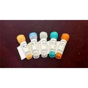PCR级MnCl2溶液（氯化锰溶液），25 mM