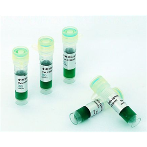 单酶一管式RT-PCR试剂盒（Tth）