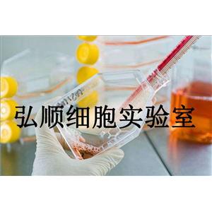 SV-HUC-1人膀胱上皮永生化贴壁细胞系