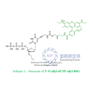 3′-O-allyl-dUTP-allyl-R6G