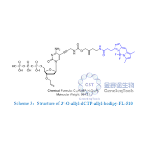 3′-O-allyl-dCTP-allyl-bodipy-FL-510