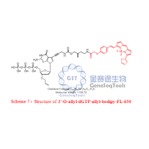 3′-O-allyl-dGTP-allyl-bodipy-FL-650