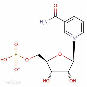 β-烟酰胺单核苷酸