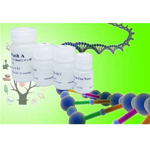 Recombinant Rat MIP-1β/CCL4