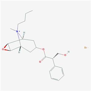 丁溴东莨菪碱
