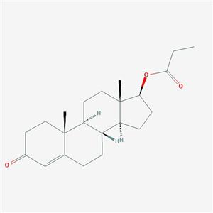 丙酸睾酮