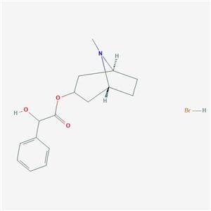 氢溴酸后马托品