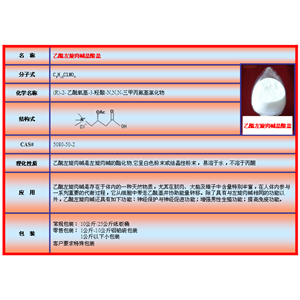 乙酰左旋肉碱盐酸盐