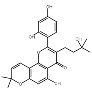 桑根皮