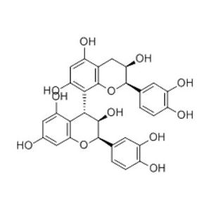 原花青素B2