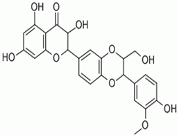 异水飞蓟宾