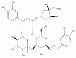 连翘酯苷B