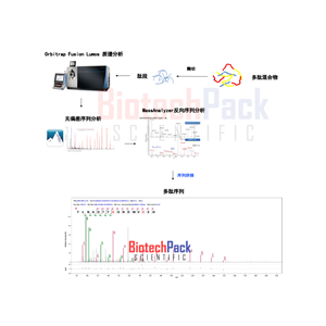 多肽鉴定_质谱分析