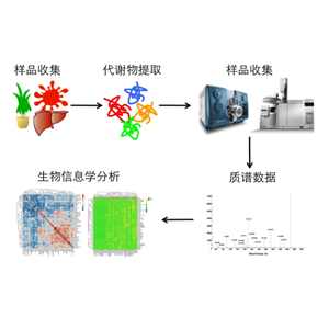 靶向代谢组学服务