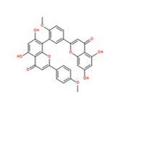异银杏双黄酮