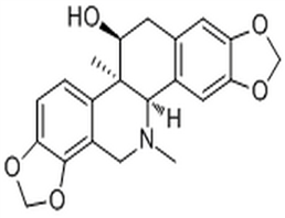 Corynoline