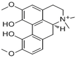 Magnoflorine