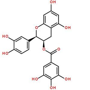 表儿茶素没食子酸酯