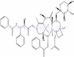 7-木糖紫杉醇