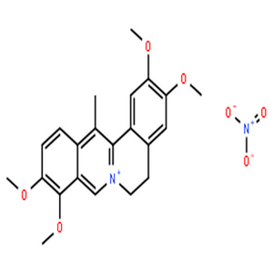 去氢延胡索甲素硝酸盐