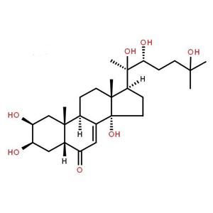 蜕皮激素生产厂家