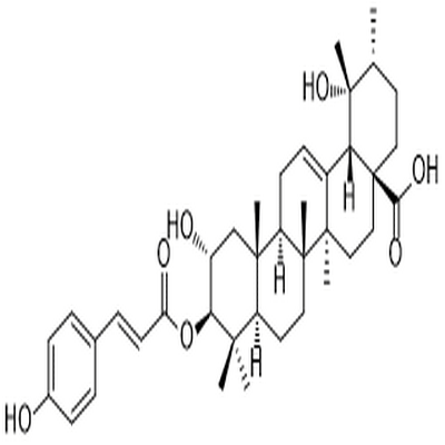 3-O-p-Coumaroyltormentic acid