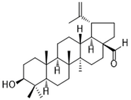 Betulinaldehyde