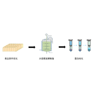 大规模发酵技术服务