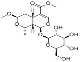 7β-O-Methylmorroniside