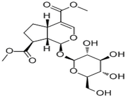 Forsythide dimethyl ester