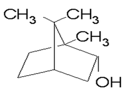 龙脑