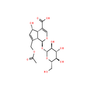 车叶草苷酸
